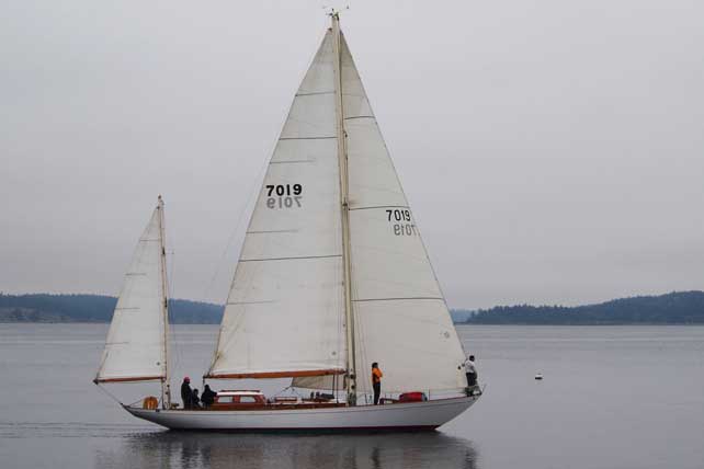 Photo by Wendy Feltham