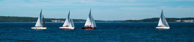 Photo by Steve Stanton