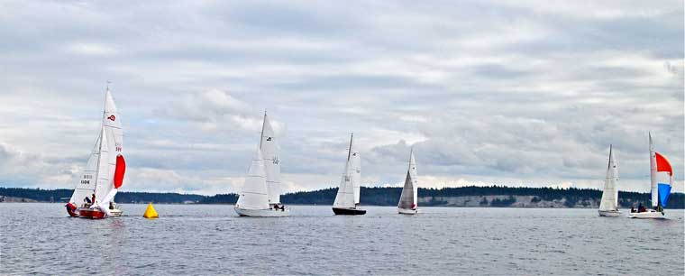 Rounding the windward mark, 2014 PNW Tbird Regional Regatta. Photo by Piper Dunlap