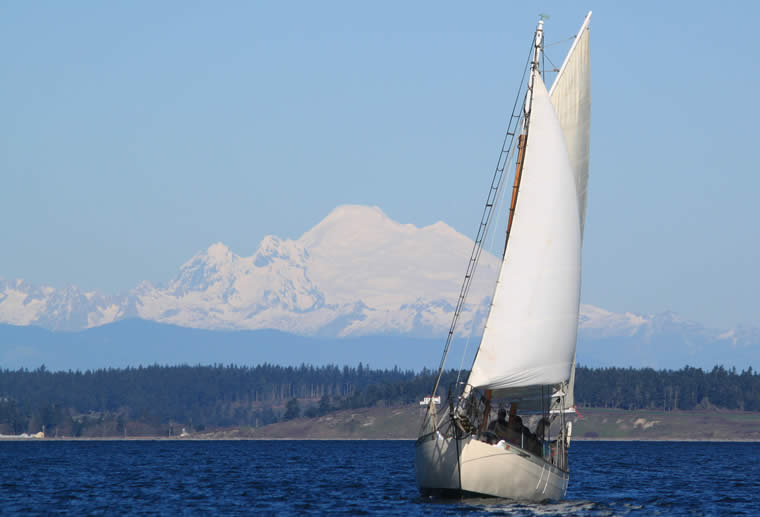 Mt. Baker watching the fun on Port Townsend Bay as the 2015 Shipwrights' Regatta took place under sunny skies and a good breeze. Photo by  [...]
</p srcset=