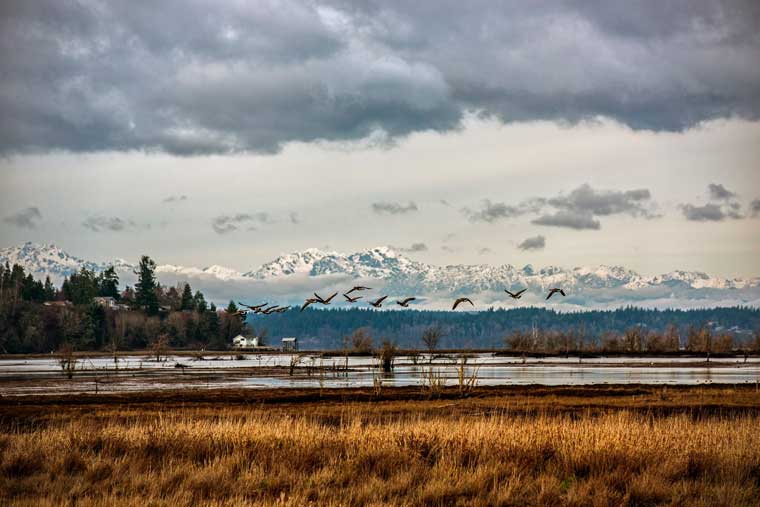 A winter scene by Sean Trew. Click for larger image.