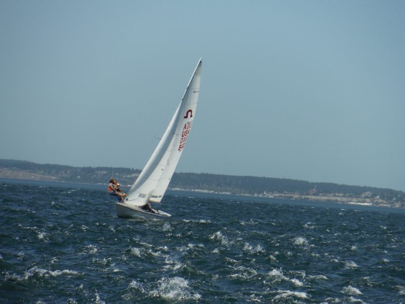 Falcon having fun on the way to Bush Point. Picture by Eric Anderson