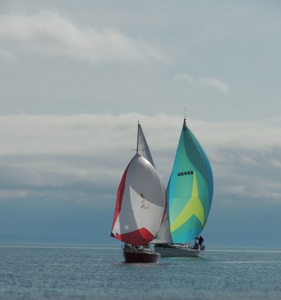 Owl & Lucky at Minor