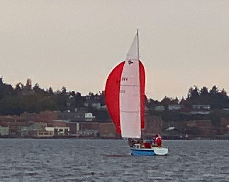 Mabuhay flying downwind in race 2.