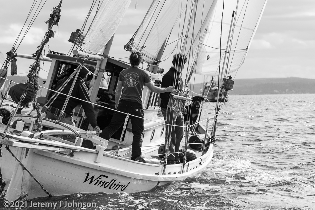 Shipwrights2021Johnson20210227_8323