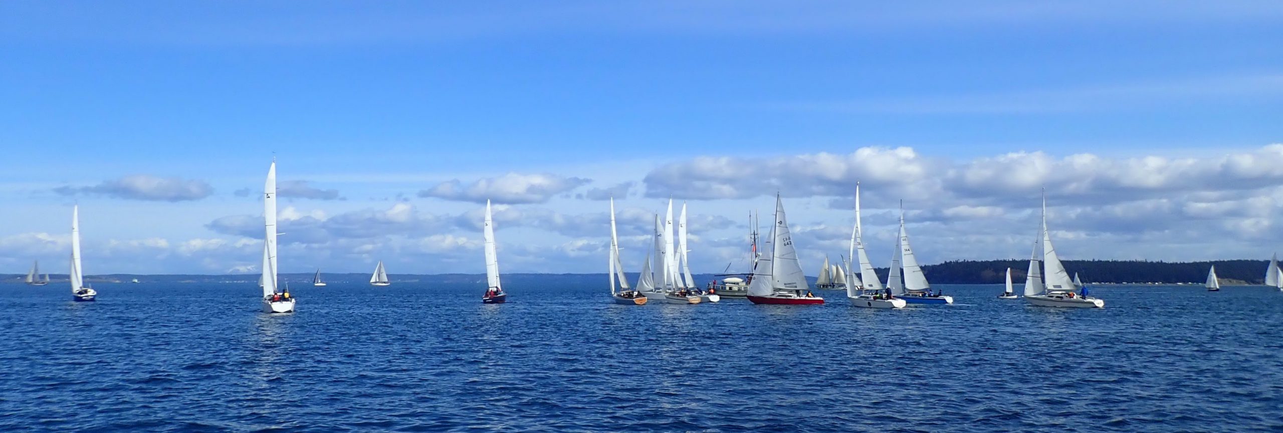 Shipwrights2021Aarhaus1