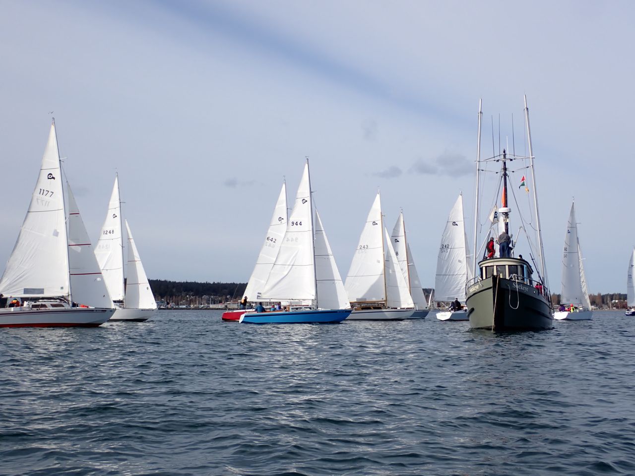 Shipwrights2021ABrownP2270034