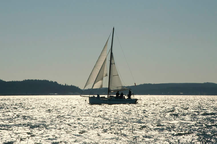 11044592_10152549392237757_678414998027902089_o 11044592_10152549392237757_678414998027902089_o