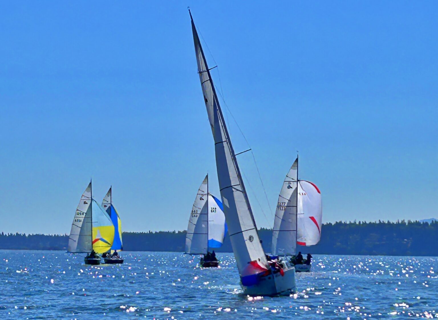 TBIRD-Regionals-2024-49