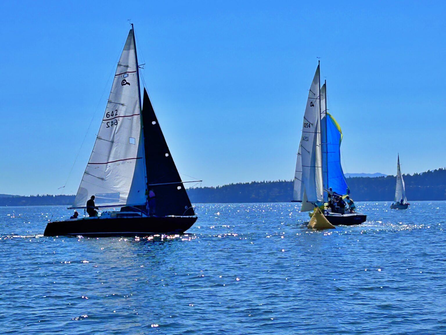 TBIRD-Regionals-2024-39