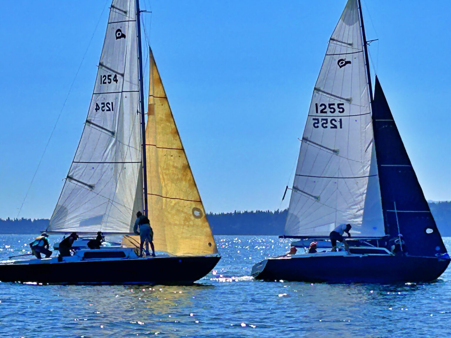 TBIRD-Regionals-2024-36