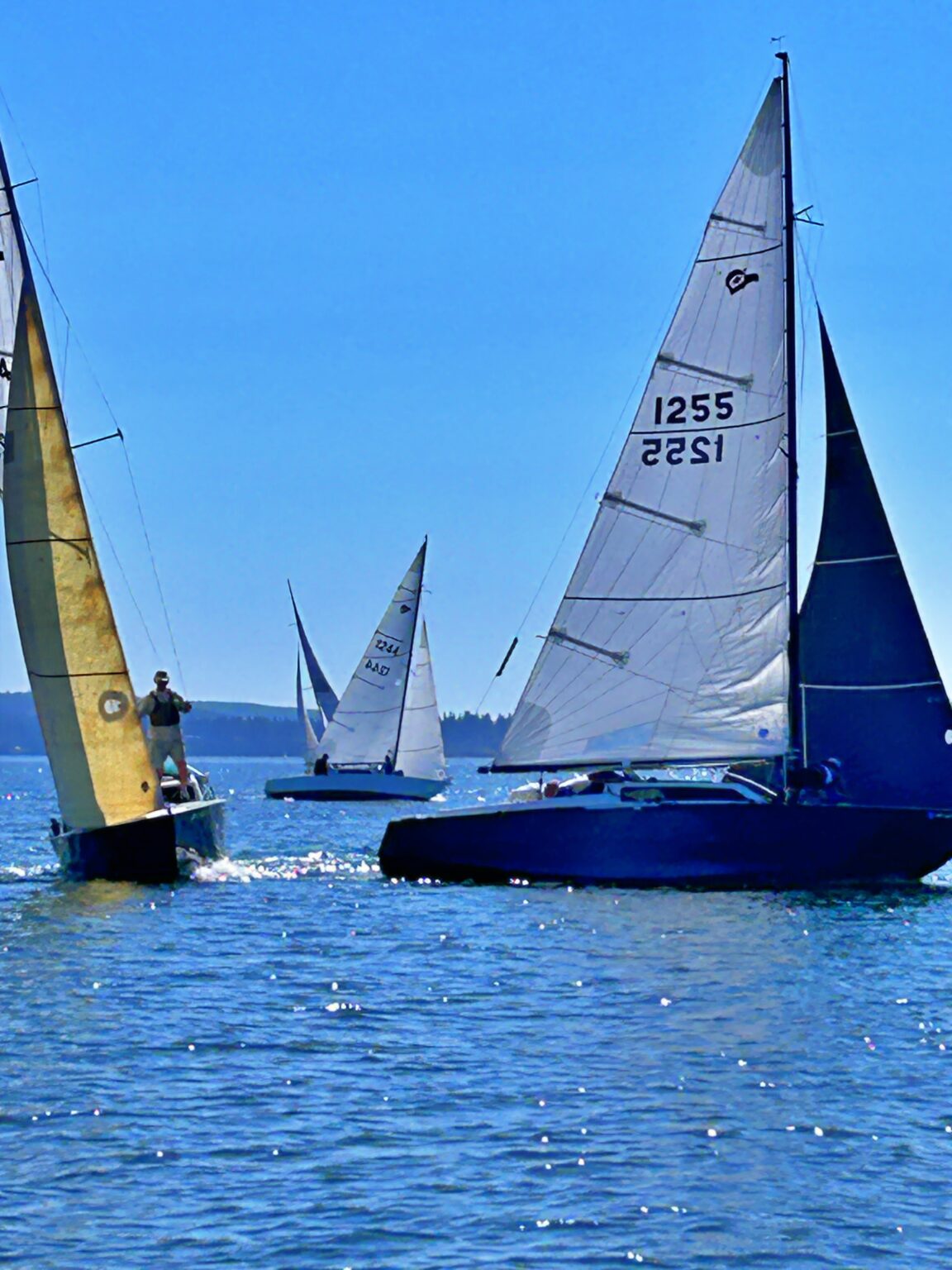 TBIRD-Regionals-2024-35