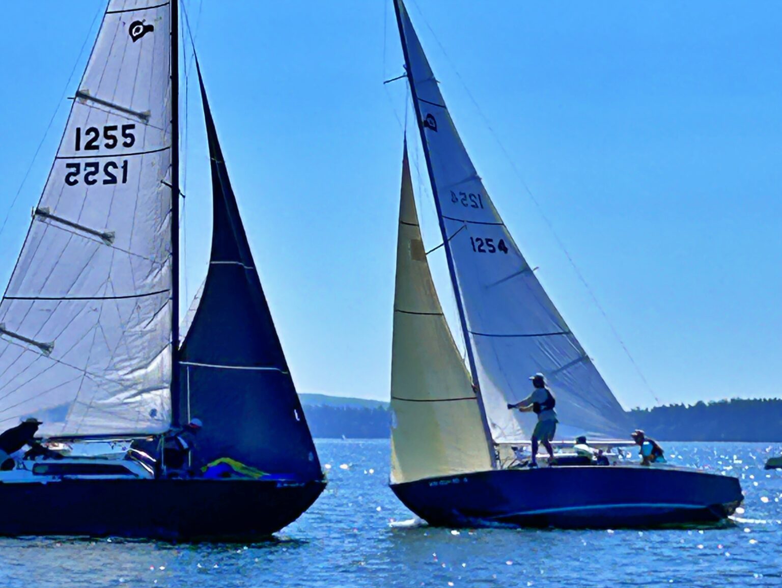 TBIRD-Regionals-2024-34