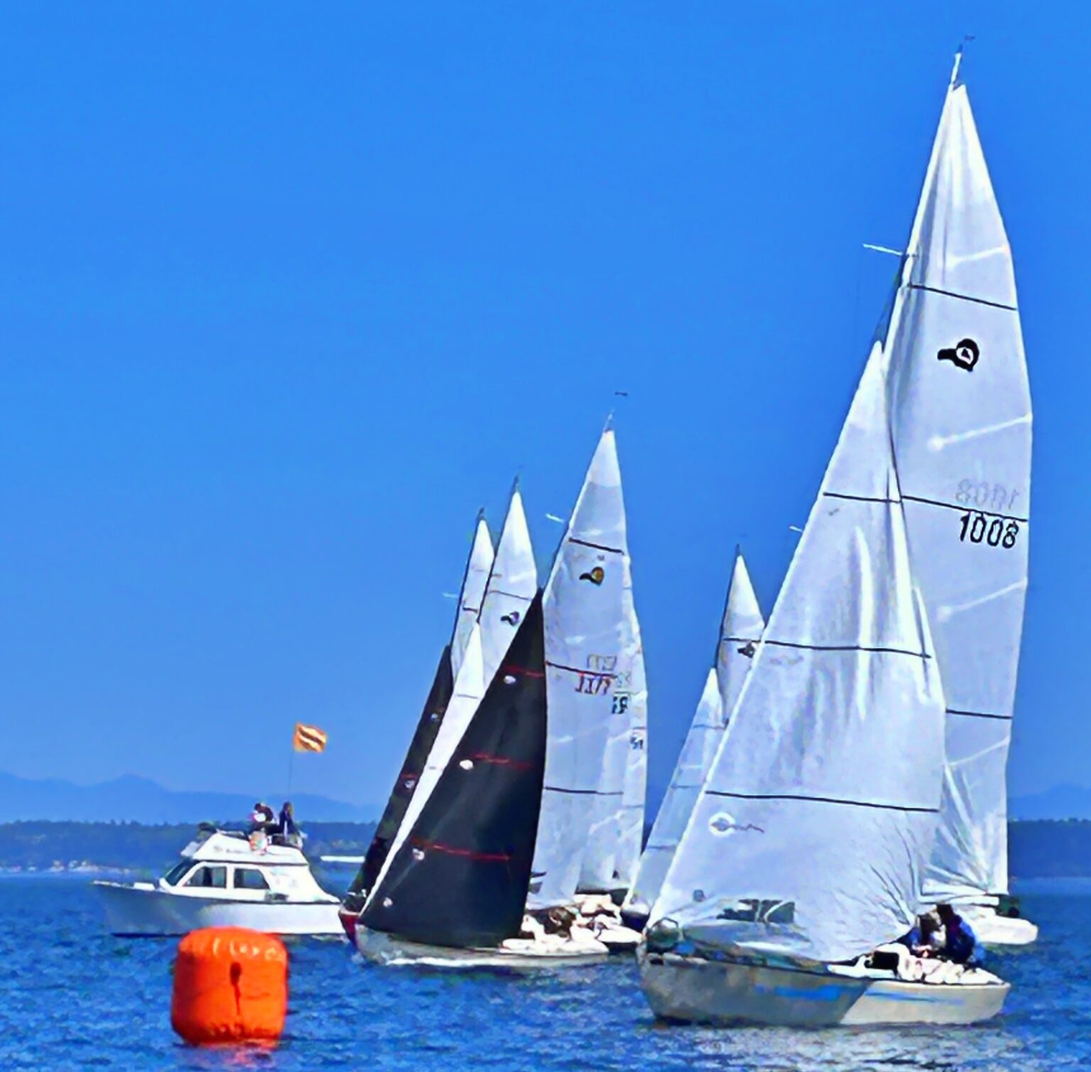 TBIRD-Regionals-2024-31