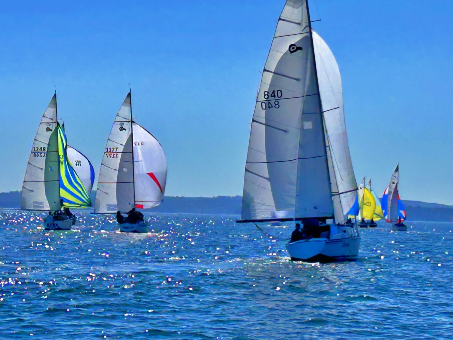 TBIRD-Regionals-2024-25