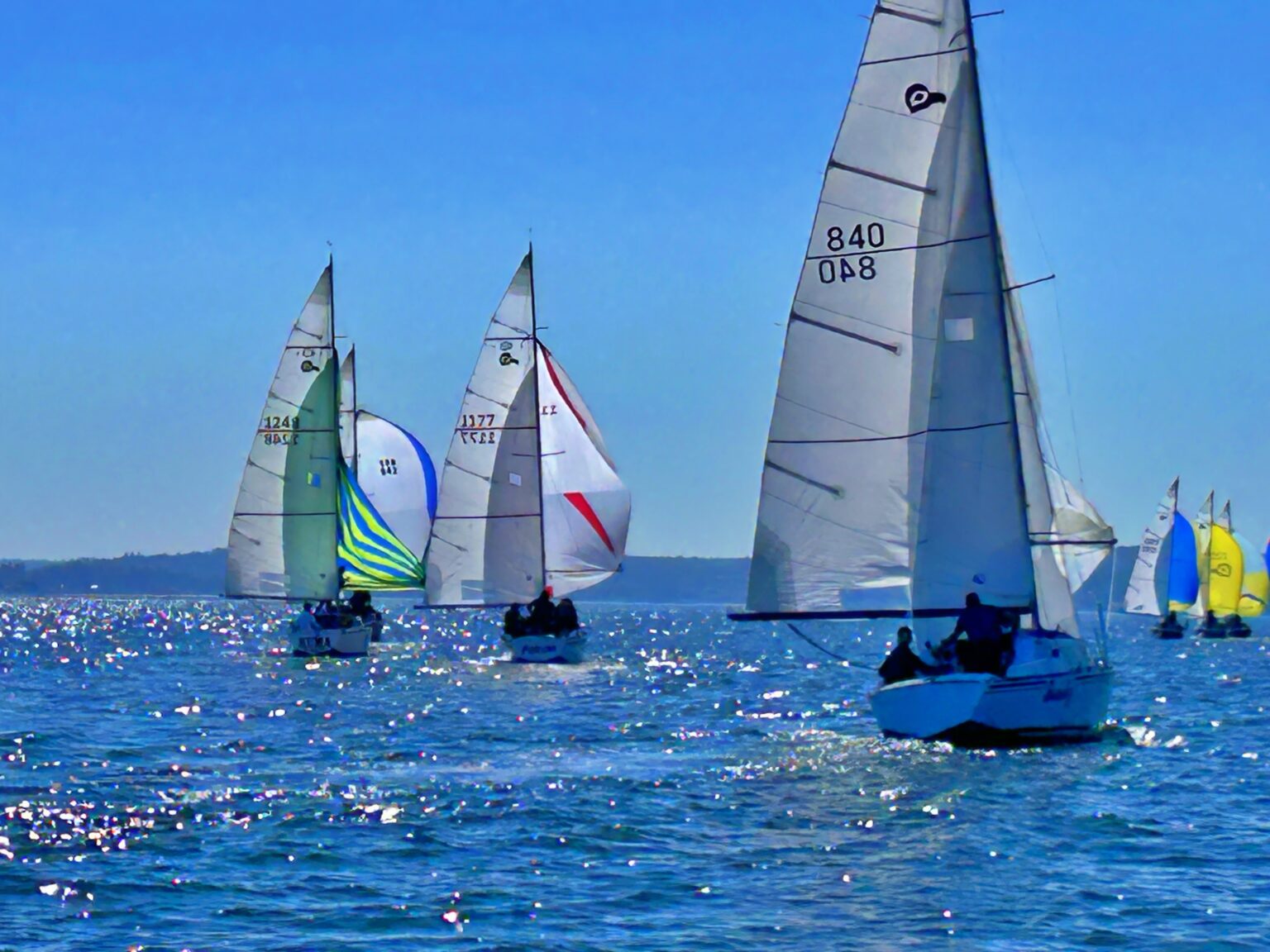 TBIRD-Regionals-2024-24