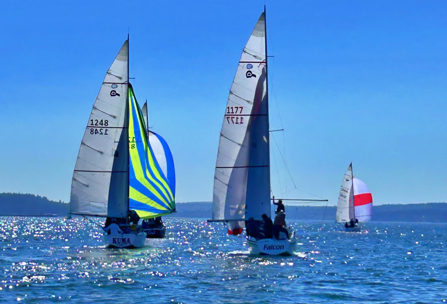 TBIRD-Regionals-2024-22