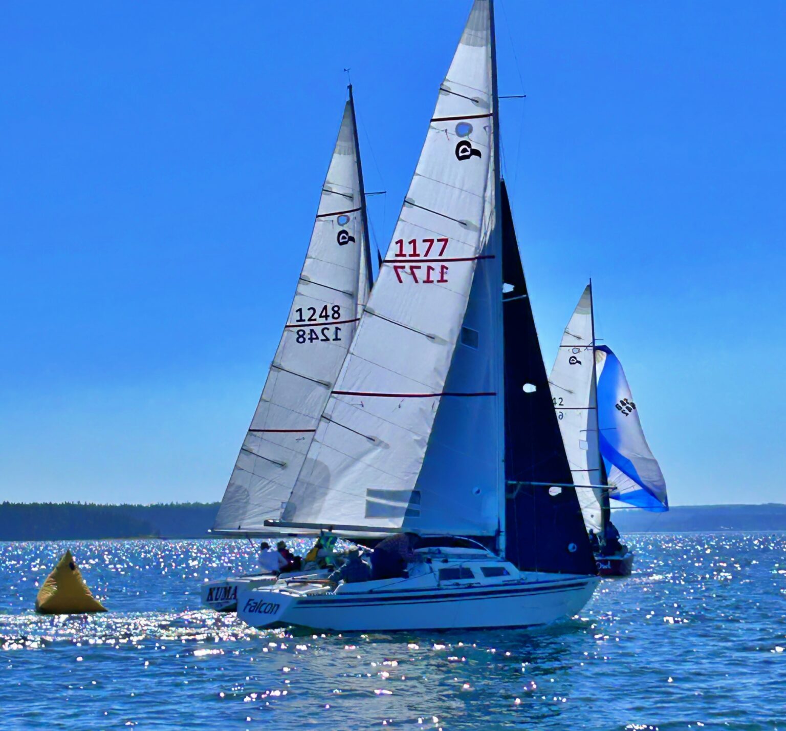 TBIRD-Regionals-2024-19