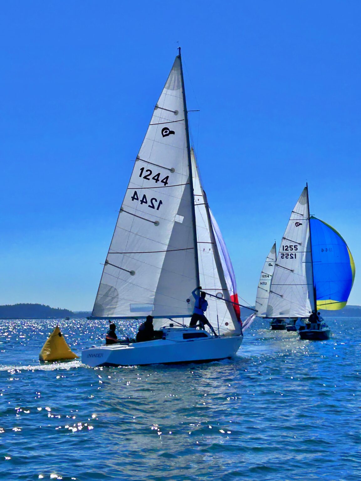 TBIRD-Regionals-2024-10