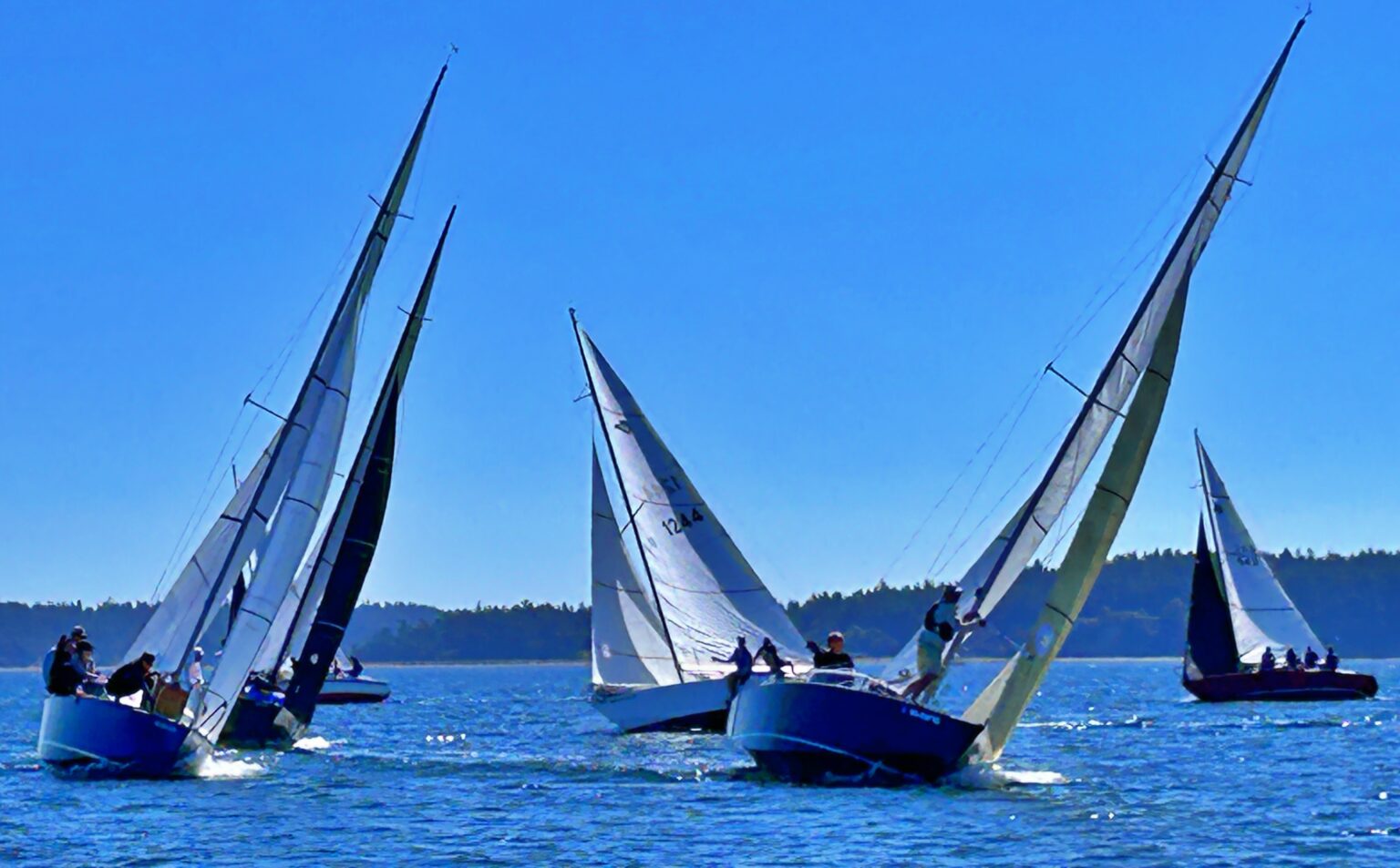 TBIRD-Regionals-2024-02