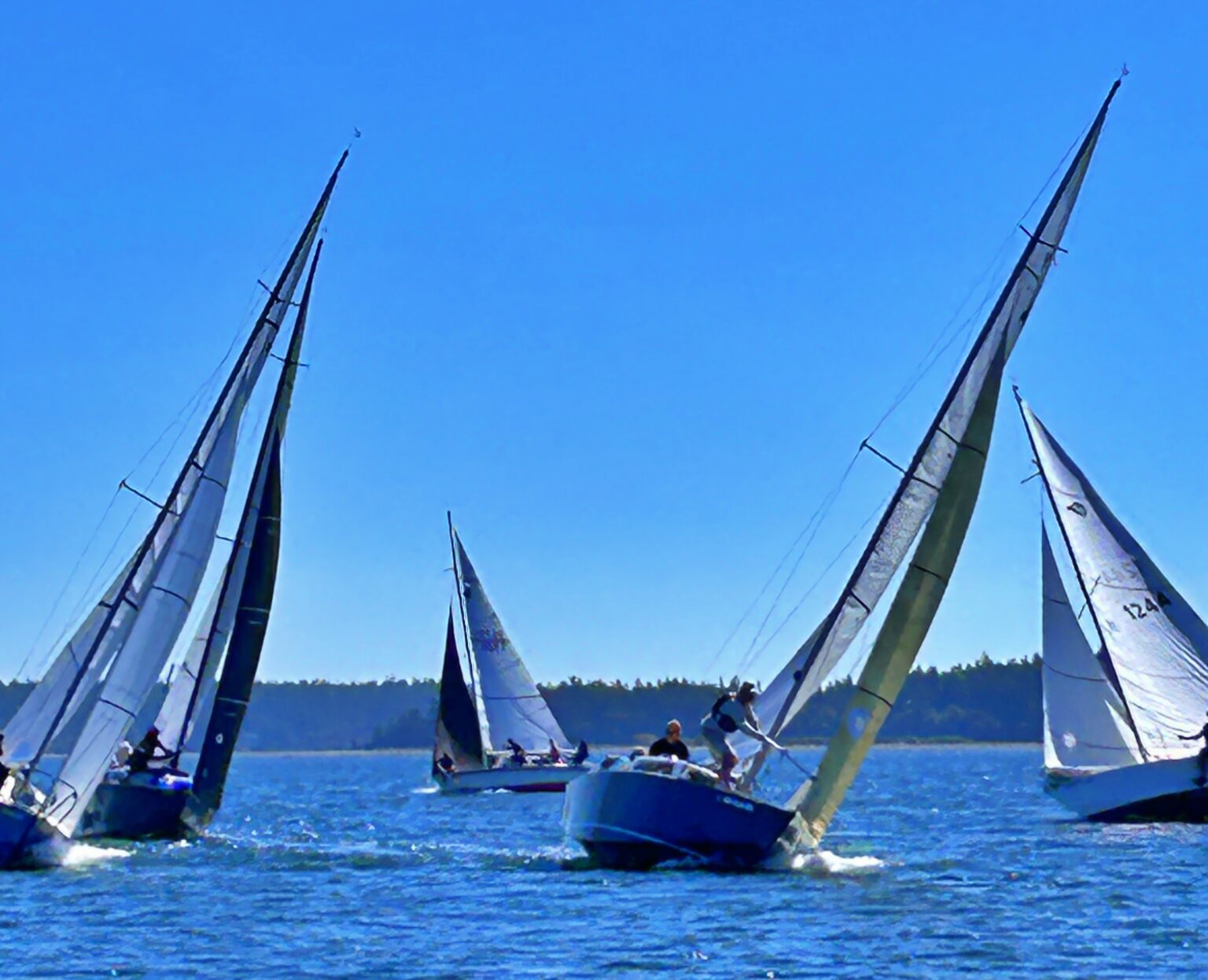 TBIRD-Regionals-2024-01