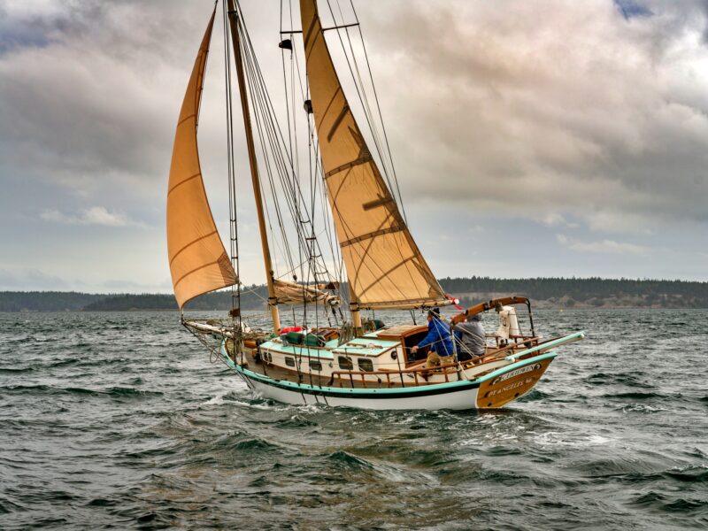 LastChance2024-byCyrusKanga07